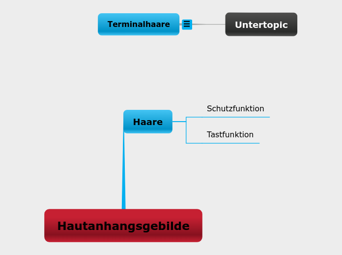 Hautanhangsgebilde Mind Map